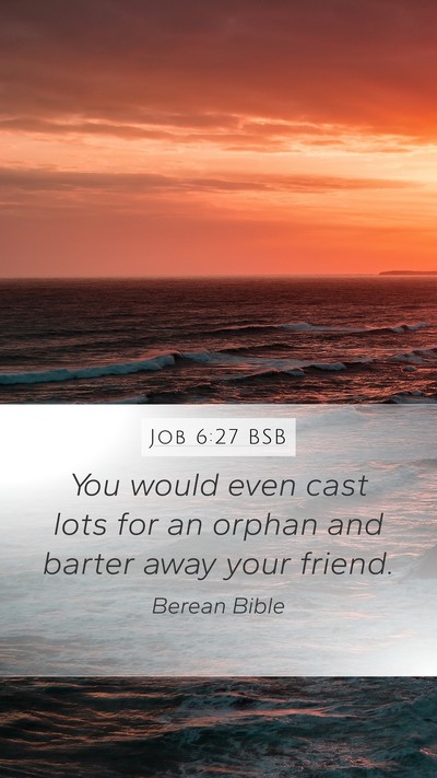 Job 6:27 BSB Bible Verse Image