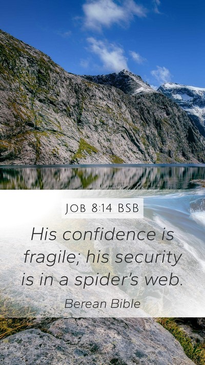 Job 8:14 BSB Bible Verse Image