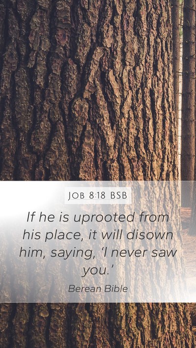 Job 8:18 BSB Bible Verse Image