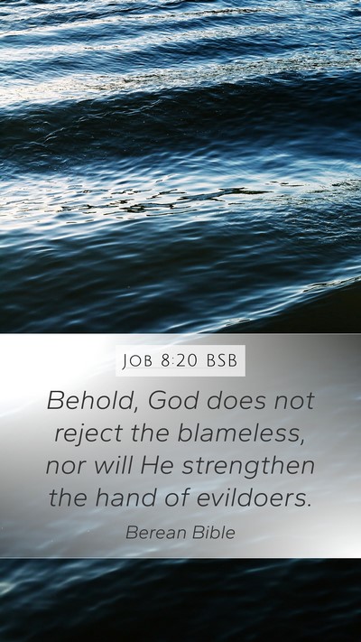 Job 8:20 BSB Bible Verse Image