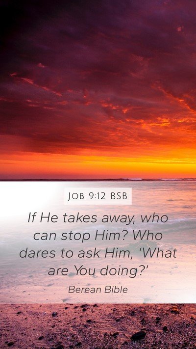 Job 9:12 BSB Bible Verse Image