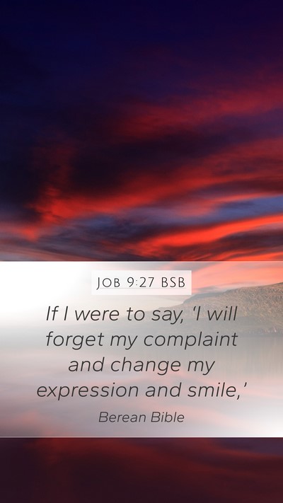 Job 9:27 BSB Bible Verse Image