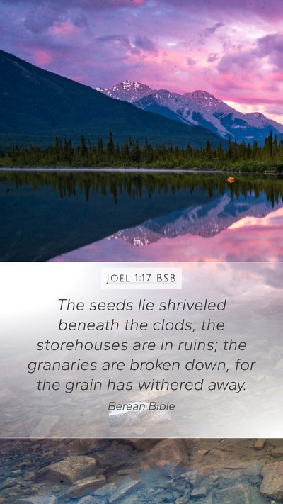 Joel 1:17 BSB Bible Verse Image