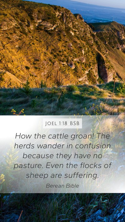 Joel 1:18 BSB Bible Verse Image