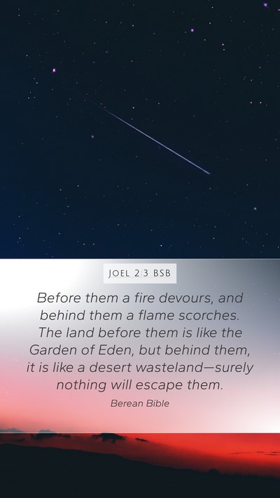 Joel 2:3 BSB Bible Verse Image