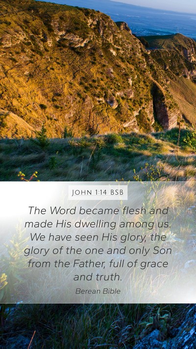 John 1:14 BSB Bible Verse Image
