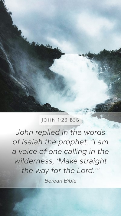 John 1:23 BSB Bible Verse Image