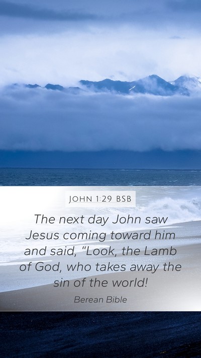 John 1:29 BSB Bible Verse Image