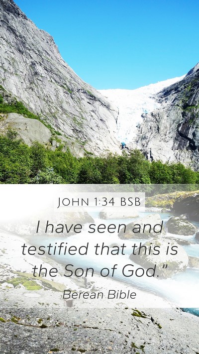 John 1:34 BSB Bible Verse Image