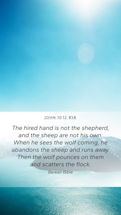 John 10:12 BSB Bible Verse Image