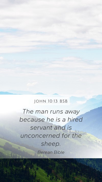 John 10:13 BSB Bible Verse Image