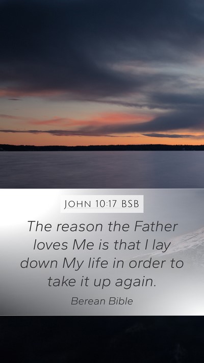 John 10:17 BSB Bible Verse Image