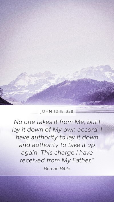 John 10:18 BSB Bible Verse Image