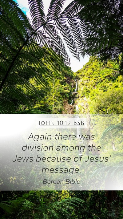 John 10:19 BSB Bible Verse Image