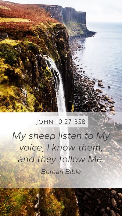 John 10:27 BSB Bible Verse Image