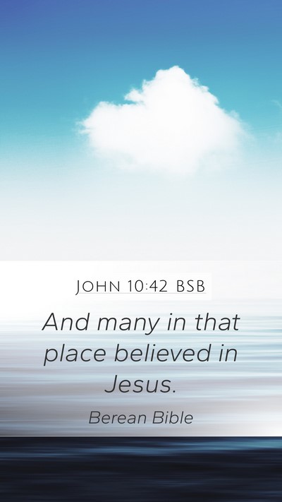 John 10:42 BSB Mobile Phone Wallpaper - And many in that place believed in - Mobile Bible Verse Wallpaper