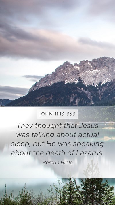 John 11:13 BSB Mobile Phone Wallpaper - They thought that Jesus was talking about actual - Mobile Bible Verse Wallpaper