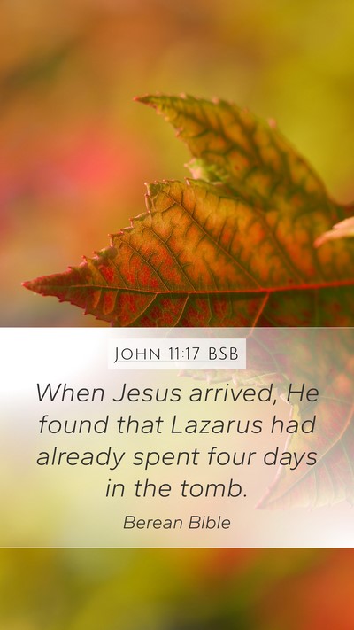 John 11:17 BSB Bible Verse Image