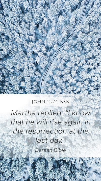 John 11:24 BSB Mobile Phone Wallpaper - Martha replied, “I know that he will rise again - Mobile Bible Verse Wallpaper