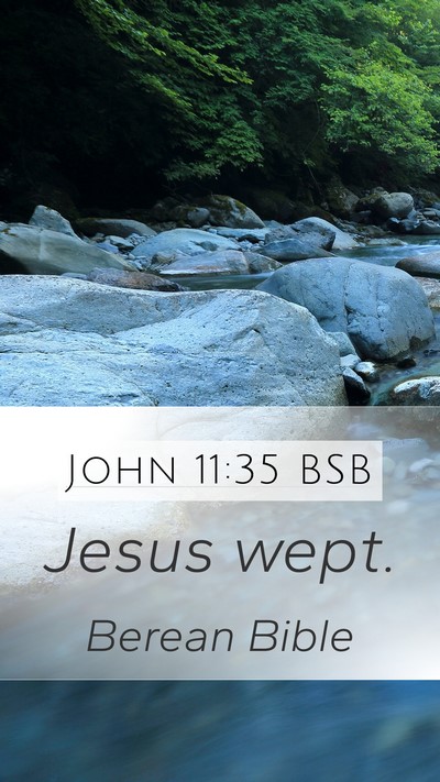 John 11:35 BSB Bible Verse Image
