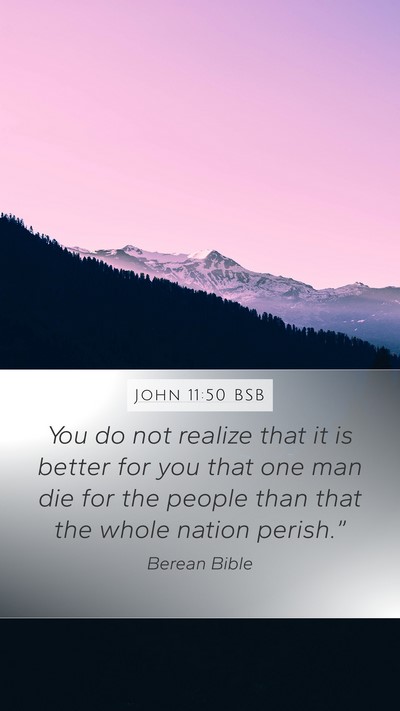 John 11:50 BSB Bible Verse Image