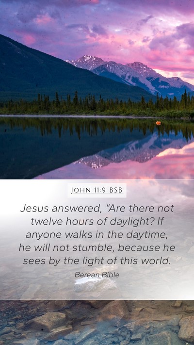 John 11:9 BSB Bible Verse Image