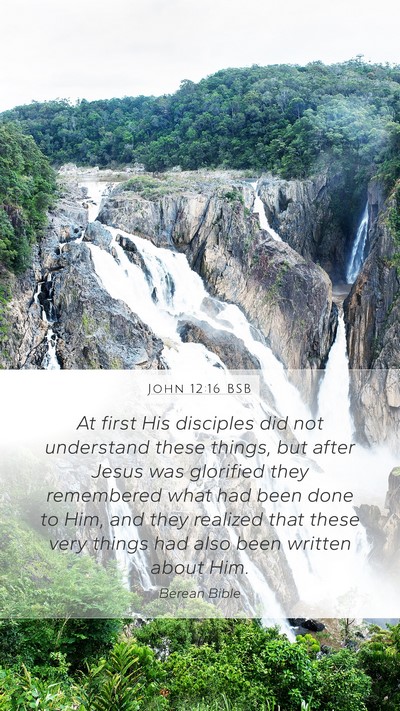 John 12:16 BSB Bible Verse Image