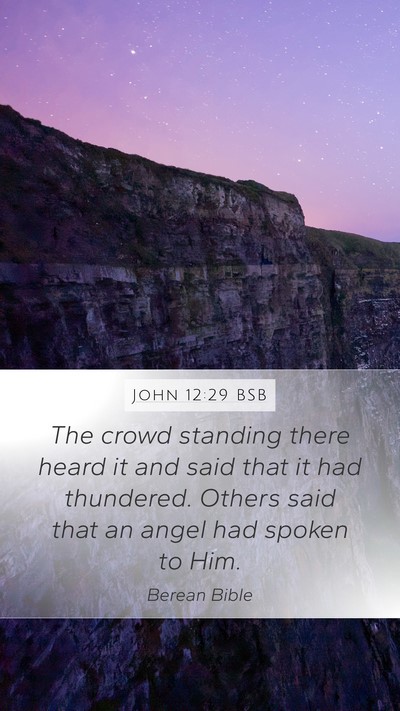 John 12:29 BSB Bible Verse Image