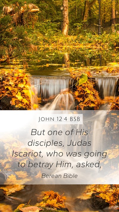 John 12:4 BSB Bible Verse Image