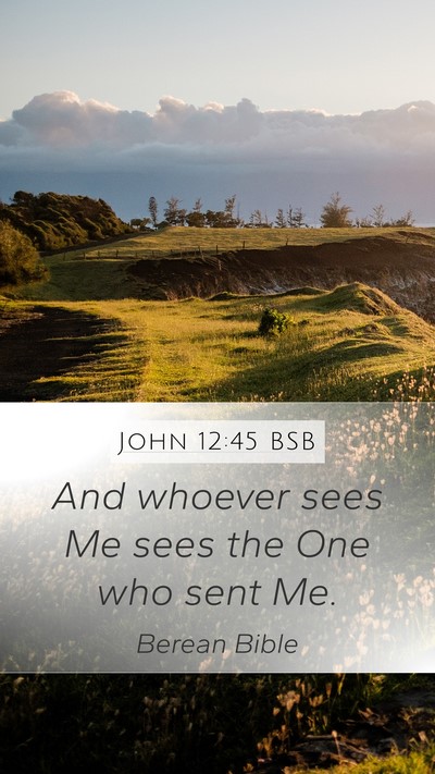 John 12:45 BSB Bible Verse Image