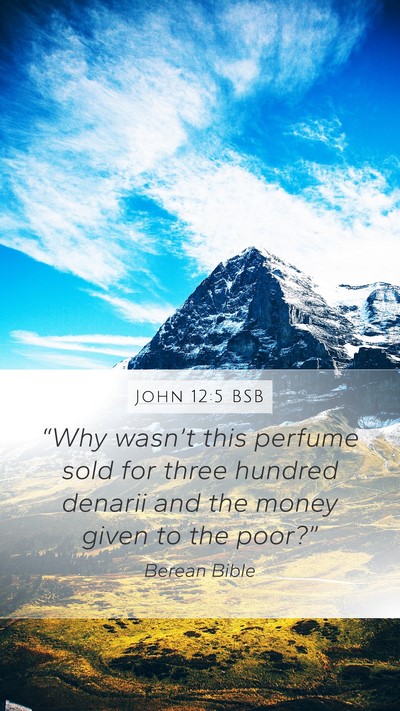 John 12:5 BSB Bible Verse Image