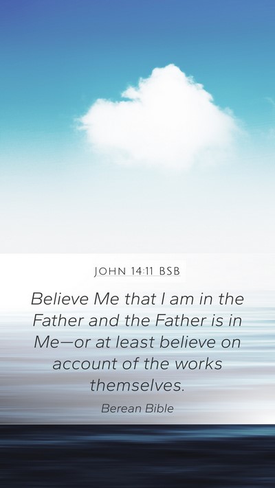John 14:11 BSB Bible Verse Image