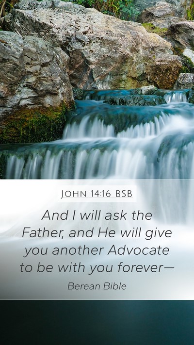 John 14:16 BSB Bible Verse Image