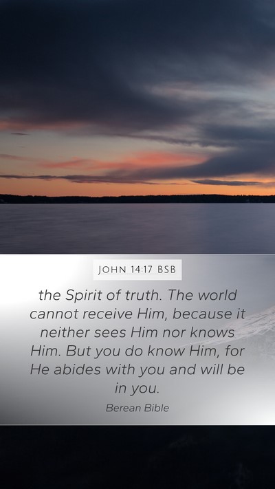 John 14:17 BSB Bible Verse Image