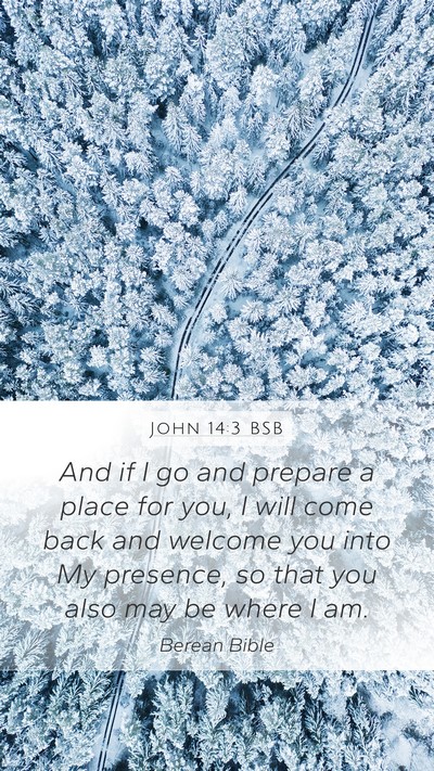John 14:3 BSB Bible Verse Image