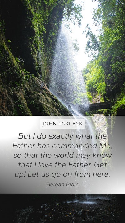 John 14:31 BSB Bible Verse Image