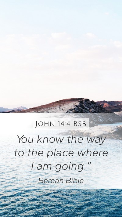 John 14:4 BSB Mobile Phone Wallpaper - You know the way to the place where I am - Mobile Bible Verse Wallpaper