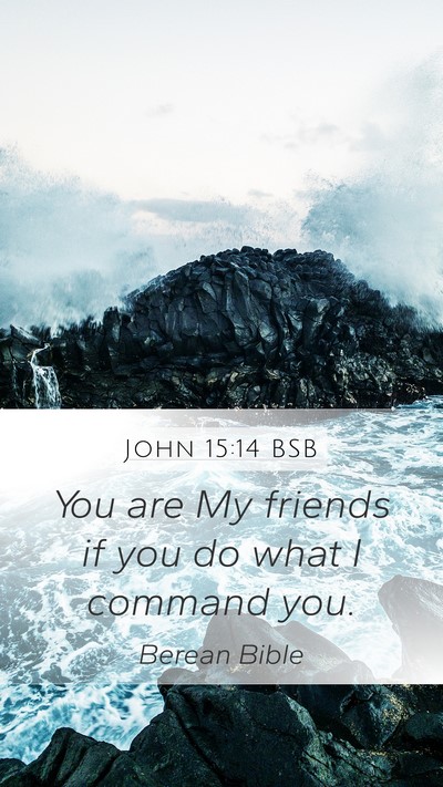 John 15:14 BSB Bible Verse Image