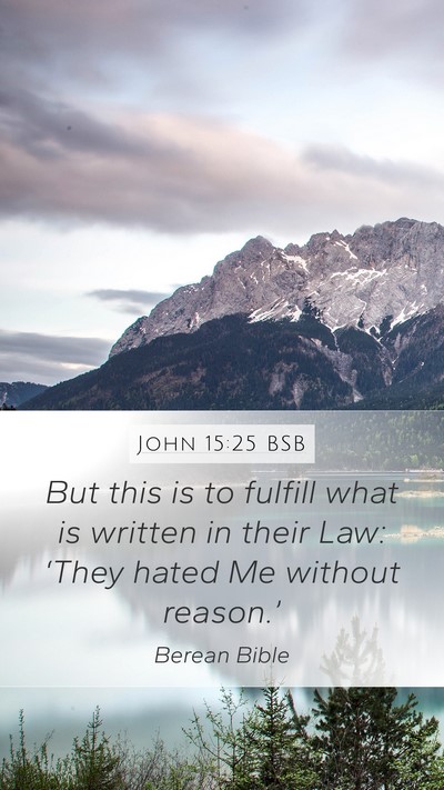 John 15:25 BSB Bible Verse Image