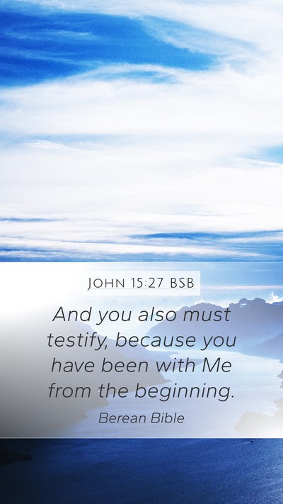 John 15:27 BSB Bible Verse Image