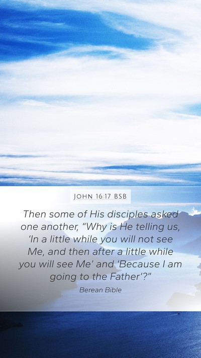 John 16:17 BSB Bible Verse Image