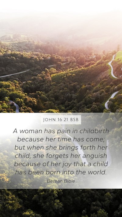 John 16:21 BSB Bible Verse Image