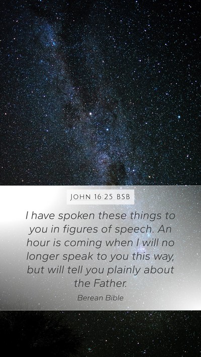 John 16:25 BSB Bible Verse Image