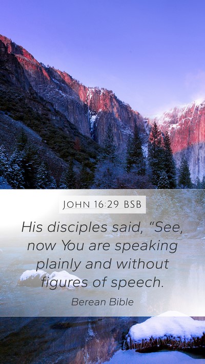 John 16:29 BSB Bible Verse Image