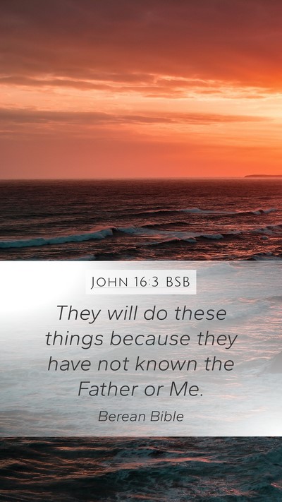John 16:3 BSB Bible Verse Image