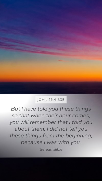 John 16:4 BSB Bible Verse Image