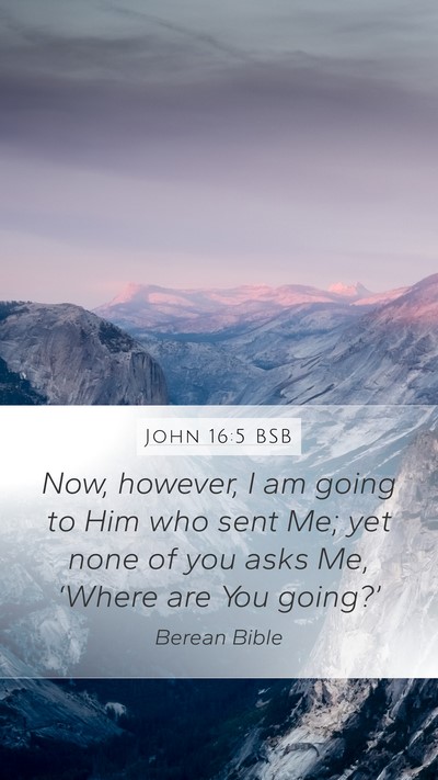 John 16:5 BSB Bible Verse Image