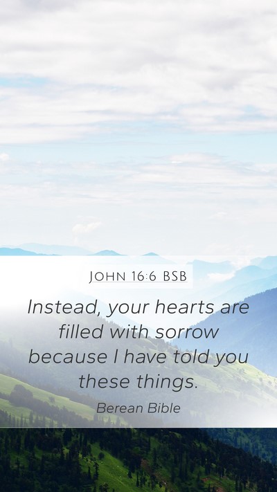 John 16:6 BSB Bible Verse Image