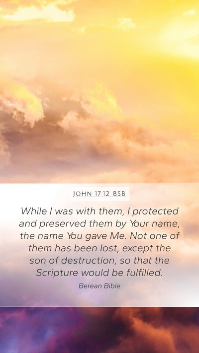 John 17:12 BSB Bible Verse Image