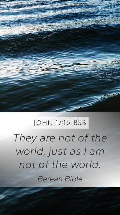 John 17:16 BSB Bible Verse Image